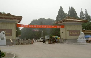 南京林業大學